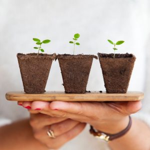 Sådan får du dine planter sikkert igennem ferien